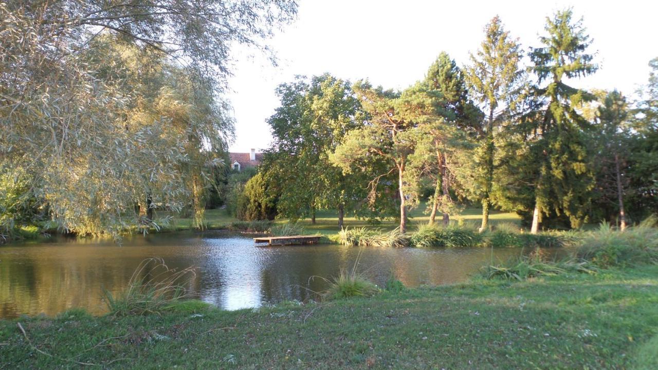 La Petite Noue Bed & Breakfast Vignoux-sous-les-Aix Екстериор снимка